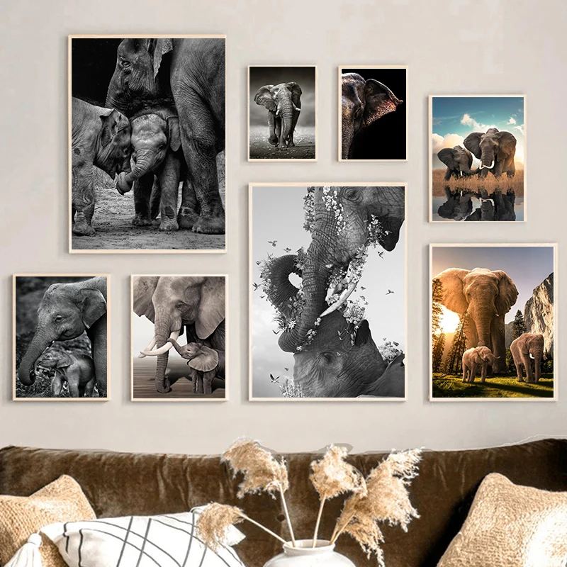 Wildlife Elephant Family Poste - Baby Nursery Images recension och pris